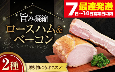 ロースハム・ベーコンセット 計1kg ハム 贈答 ギフト 冷蔵 北海道 [AJAI004]