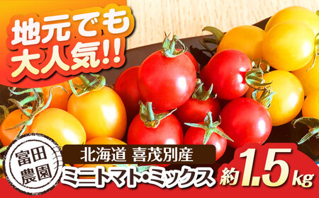 喜茂別産 ミニトマト 約1.5kg / 期間限定 数量限定 [AJAJ007]