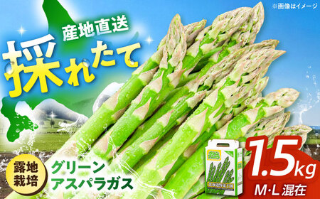 グリーンアスパラガス 1.5kg アスパラ AJAM001