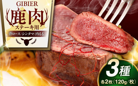 鹿肉 ステーキ 3種 セット ( 背ロース シンタマ 内もも 各2枚 )  鹿肉 ジビエ 赤身 [AJAO005]