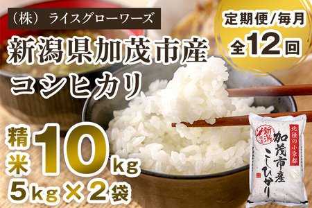 【令和7年産】【定期便12ヶ月毎月お届け】新潟県加茂市産コシヒカリ 精米10kg（5kg×2）《順次出荷》 白米 （株）ライスグローワーズ