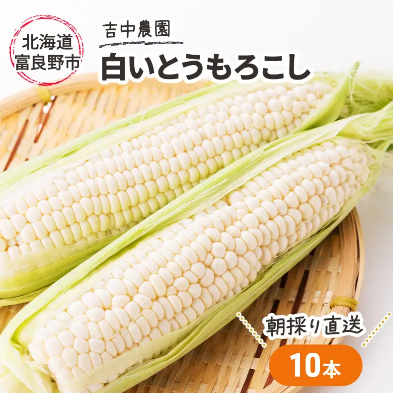 【2026年7月～発送】北海道 富良野産 朝穫り 白い とうもろこし 10本入り (吉中農園) とうもろこし とうきび コーン 野菜 新鮮 甘い ジューシー 贈り物 ギフト 道産 直送 ふらの