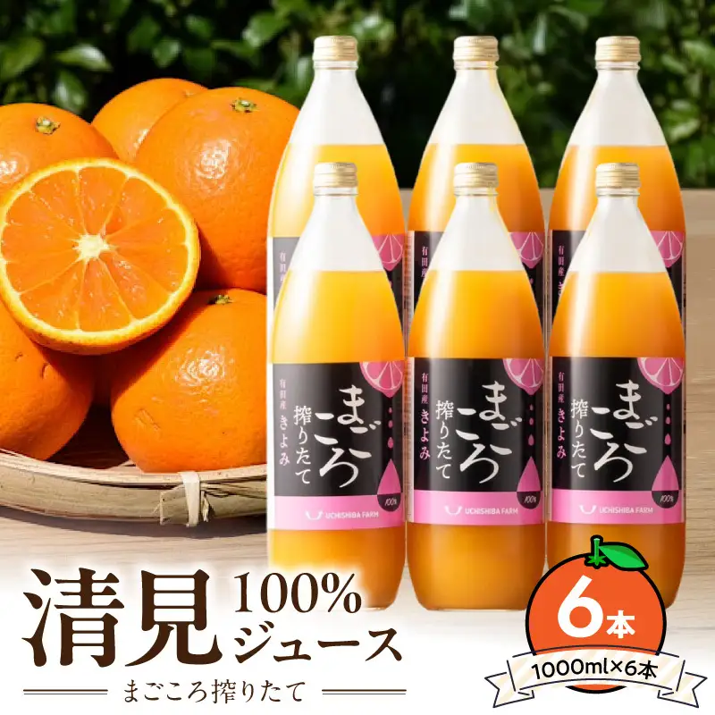 ZE6405n_【まごころ搾りたて】清見 100%ジュース 1000ml 6本