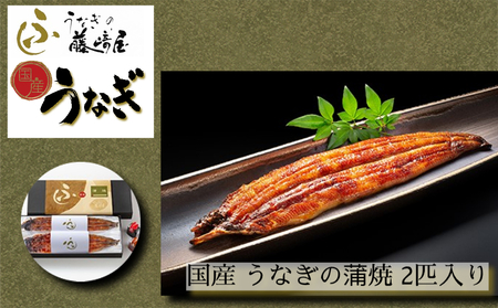 国産 うなぎの蒲焼 2匹入り 【藤崎屋】 ｜ ふっくら あっさり 香ばしい タレ付 山椒付 父の日 母の日 敬老の日 うな丼 鰻丼 国産 うなぎ 鰻 蒲焼国産 うな重用 蒲焼 特上 2人前 【藤崎屋】 ｜ ふっくら あっさり 香ばしい タレ付 山椒付 父の日 母の日 敬老の日 うな丼 鰻丼 国産 うなぎ 鰻 蒲焼