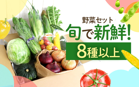 鯖街道からお届けする季節の新鮮野菜セット 8種以上[A-023004] [BFAN006]