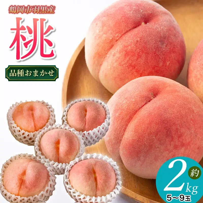 【令和8年産先行予約】JA庄内たがわの桃 (品種おまかせ) 約2kg（5～9玉入） 鶴岡市羽黒地域産　K-830