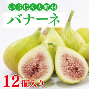【先行予約】いちじく バナーネ 12個入 