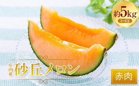 《2026年先行予約》庄内産砂丘メロン（赤肉）5kg FSY-0762