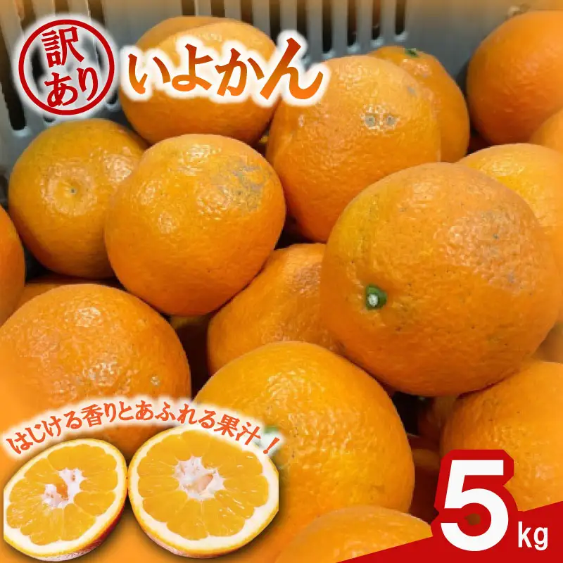 【2027年1月中旬頃から順次発送】 訳あり 伊予柑 5キロ   |  みかん ミカン 蜜柑 柑橘 いよかん 愛媛県産 甘い 愛媛みかん フレッシュ おいしい フルーツ 規格外 わけあり 産地直送 果物 数量限定 国産 くだもの 愛媛県 松山市 【KR005_x】