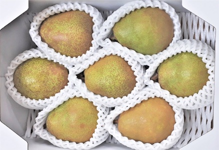 西洋梨（ラ・フランス）２ｋｇ　特秀品　0056-2618