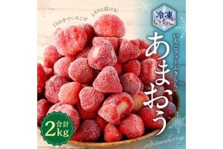 糸田町感謝キャンペーン！値下げしました「いちごファームきらら」のあまおう冷凍いちご 2kg