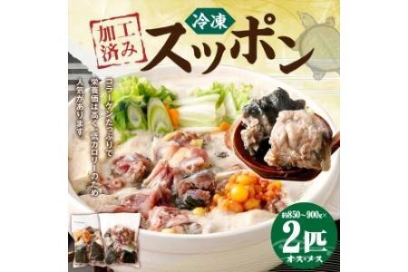 加工済み スッポン 2匹 約850～900g×2匹 カット済み すっぽん 揚げ物 鍋 すっぽん鍋
