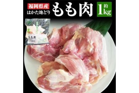 福岡県産 地鶏 「はかた地どり」 もも肉 (約1kg) 鶏肉 もも