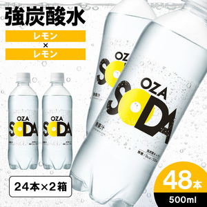 エビアン炭酸水 フランス産 evian エビアン 炭酸入りミネラルウオーター 750ml×12本
