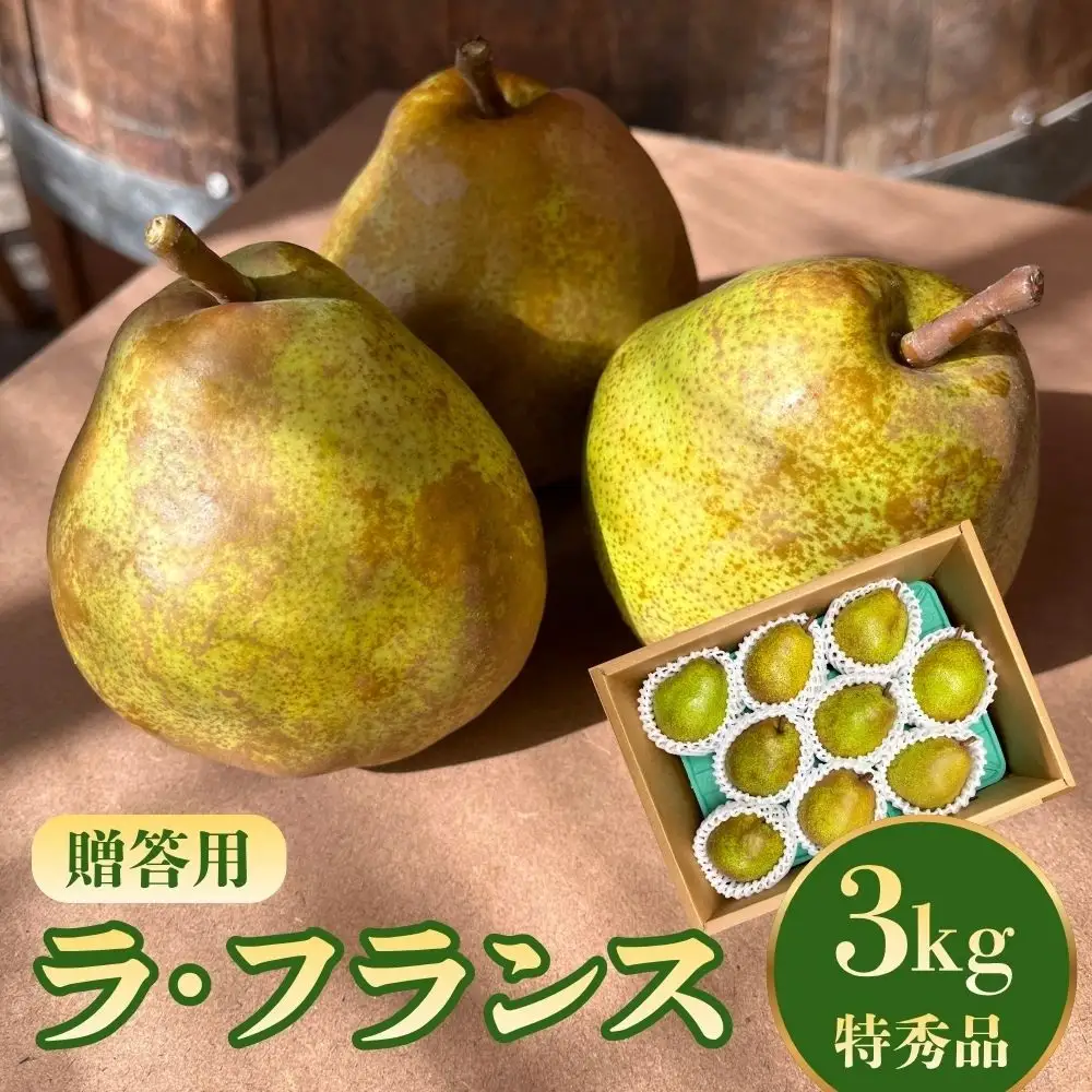 西洋梨（ラ・フランス）３ｋｇ　特秀品　0065-2608