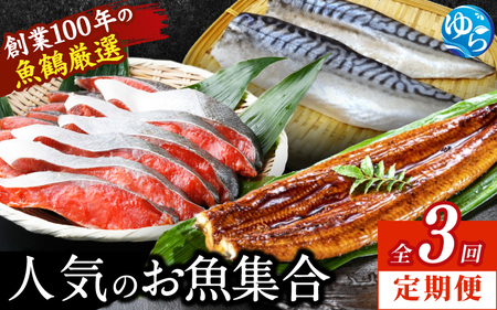 定期便 魚 全3回 /魚鶴厳選！人気のお魚集合定期便（さば・銀鮭・うなぎ）※離島配送不可【tkb307】