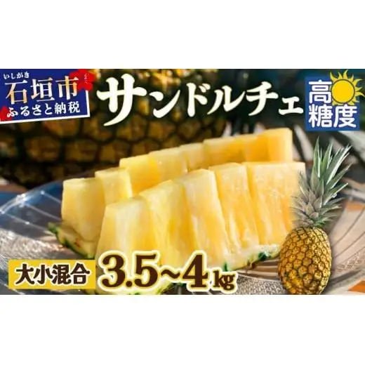 【先行予約】【訳あり】石垣島産 サンドルチェパイン 約3.5～4kg 