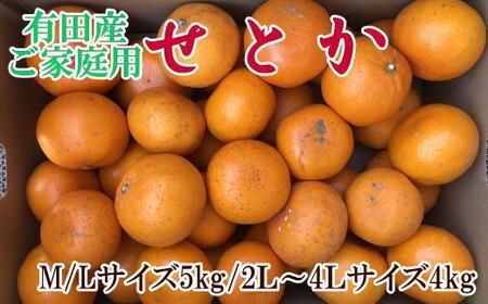 【訳あり・ご家庭用】一度は食べていただきたい「有田産のせとか」約4kg～5kg【2027年2月中旬～2027年3月中旬頃順次発送】【TM92093-tecj1032】