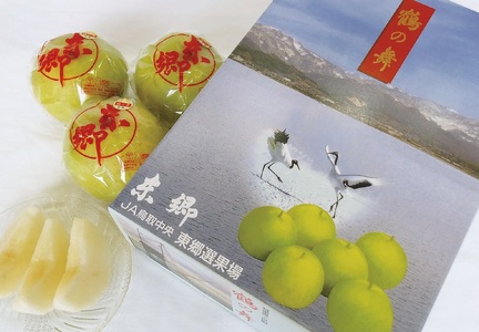 梨 東郷 二十世紀 2kg 鶴の舞 鳥取県産  | 3M