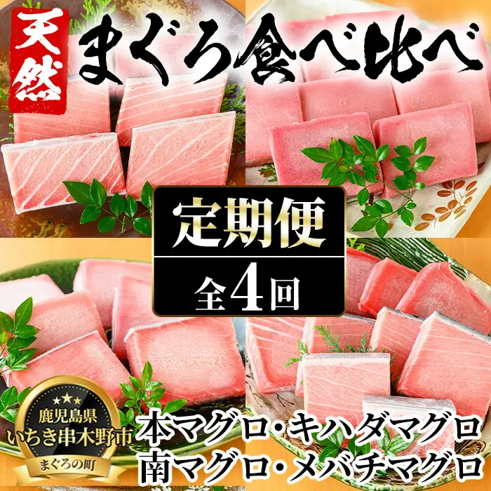 【4か月定期便】厳選！4種の天然まぐろを食べ比べ！ メバチマグロ キハダマグロ 南まぐろ 本まぐろ 小分け【00-041-16-TK】