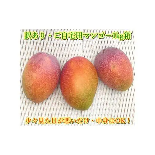 ＜予約受付＞完熟アップルマンゴー 2~4個 約1kg 