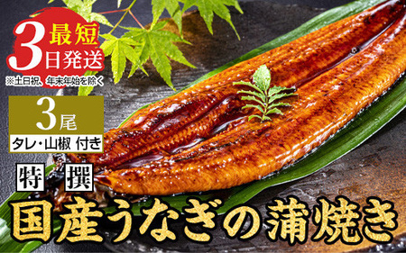 特選　国産うなぎ蒲焼き 3尾（120g以上×3尾） | メディアに紹介されたうなぎ屋 国産 冷蔵 うなぎ 鰻 ウナギ タレ・山椒つき かば焼き　※離島への配送不可