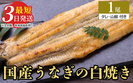 うなぎ白焼き　1尾（120g以上×1尾） | メディアに紹介されたうなぎ屋 国産 冷蔵 うなぎ 鰻 ウナギ タレ・山椒つき しら焼き ※着日指定不可 ※離島への配送不可