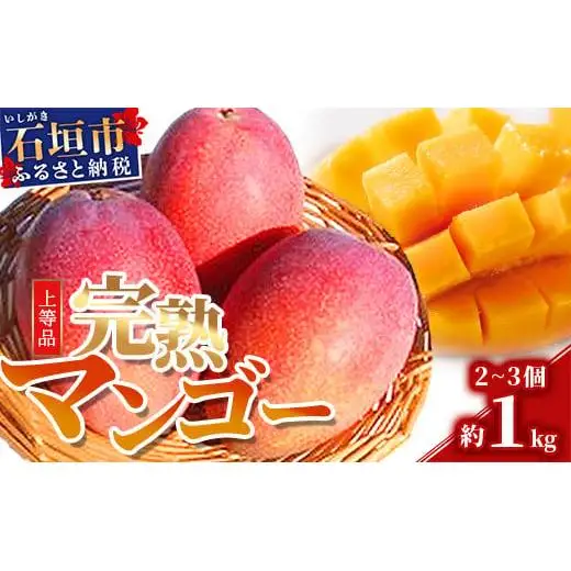 ＜予約受付＞完熟アップルマンゴー 2~3個 約1kg 