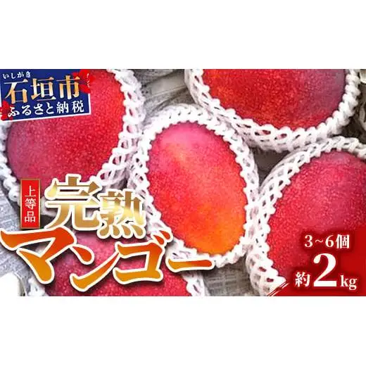 ＜予約受付＞完熟アップルマンゴー 3~6個 約2kg 