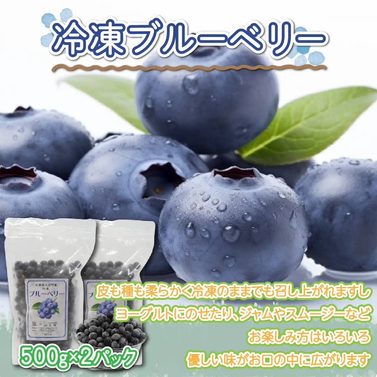 冷凍ブルーベリー500ｇ×2パック 【 ふるさと納税 人気 おすすめ ランキング ブルーベリー 果実 果物 フルーツ ヨーグルト ジャム スムージー 冷凍 北海道 大空町 送料無料 】 OSO006