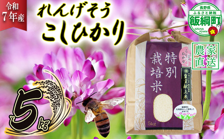 米 れんげそう こしひかり 5kg ( 令和7年産 ) 特別栽培米 仲俣農園 2025年10月上旬頃から順次発送予定 コシヒカリ 白米 精米 お米 信州 26500円 予約 農家直送 長野県 飯綱町 [1626]