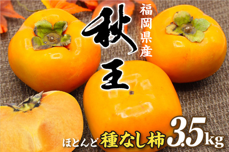 【2026年収穫分 先行予約!】福岡県ブランド　高級柿【秋王】3.5kg【JAほたるの里】_HA1352 | 柿 種なし