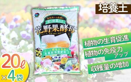 花野果酵母　８０L（２０L×４袋）【amtb0002】