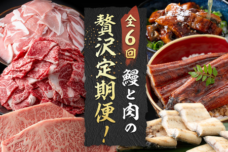 【定期便全6回】鰻と肉の贅沢定期便！鰻とお肉が交互に届くお楽しみ便 定期便 牛肉 ステーキ 鰻 豚肉 t0100-029