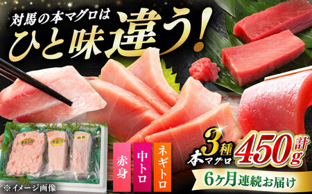 【全6回定期便】対馬産 本マグロ 3種 計450g（赤身/中トロ/ネギトロ） [WAH013] マグロ まぐろ 本マグロ トロ 赤身 ネギトロ 