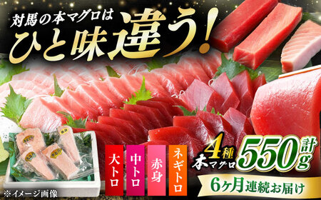 【全6回定期便】対馬産 本マグロ 4種 計550g（赤身/中トロ/大トロ/ネギトロ） [WAH016] マグロ まぐろ 本マグロ トロ 赤身 ネギトロ たたき
