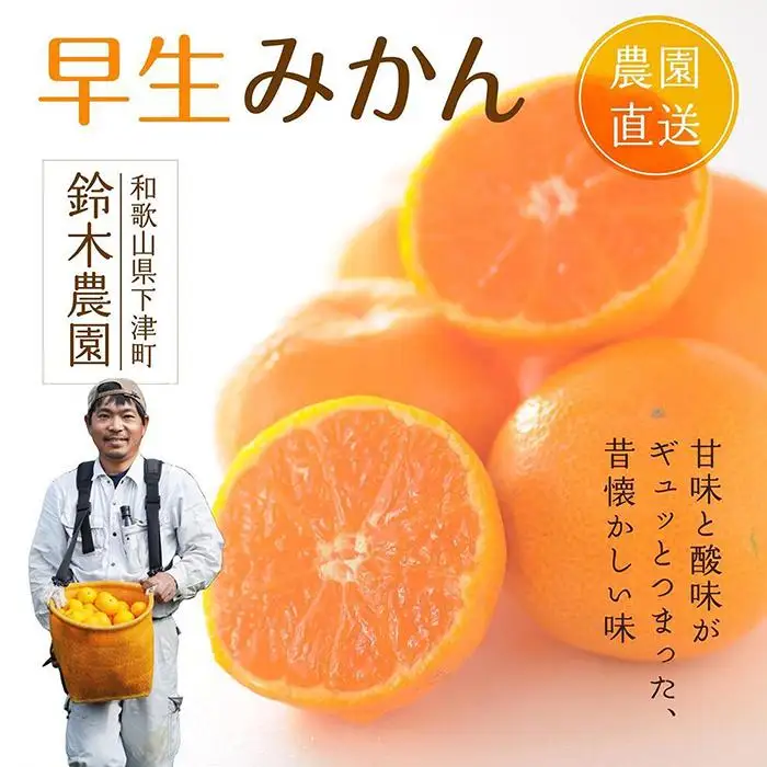 早生みかん 3kg 小粒サイズ 鈴木農園みかん