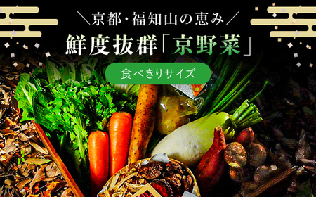 鮮度抜群「京野菜」 食べきりサイズ詰合せ(6～7品) ふるさと納税 福知山市 鮮度抜群 京野菜 野菜 食べきりサイズ 【fc-CM002】【ふくこめoffice】