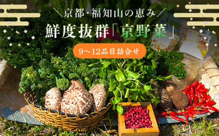 京野菜9～12品目詰合せ (1セット) ふるさと納税 福知山市 新鮮 鮮度抜群 京野菜 野菜 【fc-CM006】【ふくこめoffice】