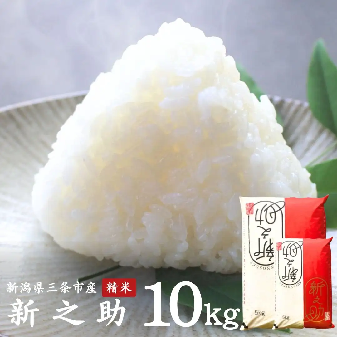 令和7年 新潟県産 新之助 10kg 三条市 外山敏雄商店