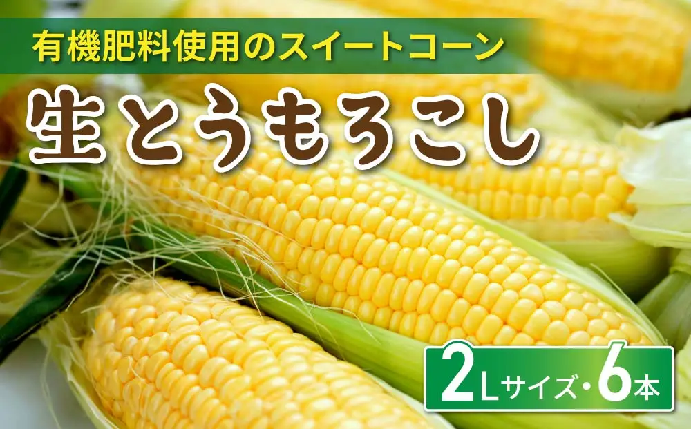 生とうもろこし 2Lサイズ 6本 有機肥料使用のスイートコーン！ 長野県東御市産 ※7月上旬から順次発送予定※発送日指定不可