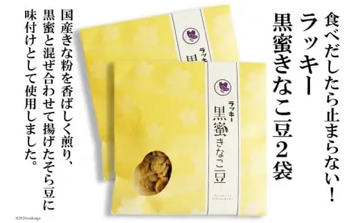 DE105 ラッキー 黒蜜きなこ豆(85g) 2袋 [長崎県 島原市]