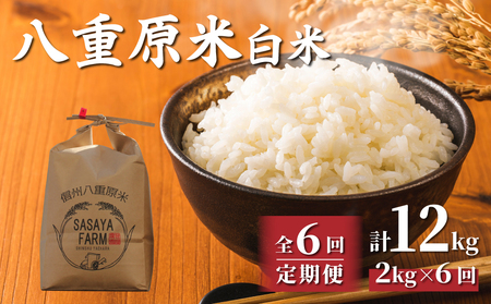 【寄附額改訂↓】令和8年新米予約【6回定期便】八重原米2kg（2kg×1袋）白米　※2026年10月以降順次発送｜笹屋農園「農薬削減長野県認証取得」　先行予約 お米