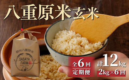 【寄附額改訂↓】令和８年新米予約【6回定期便】八重原米2kg（2kg×1袋）合計 12kg 玄米　※2026年10月以降順次発送｜笹屋農園「農薬削減長野県認証取得」　先行予約　お米