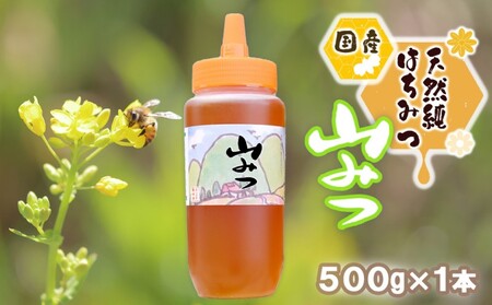はちみつ 国産 天然 純はちみつ やまみつ 500g ハチミツ 蜂蜜 とんがり容器 