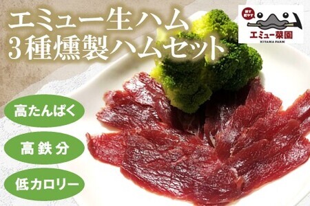 エミュー生ハム・3種燻製ハムセット K006033