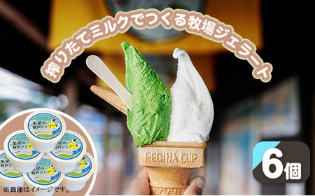 搾りたてミルクでつくるジェラート6個セット（徳山牧場アイス工房）