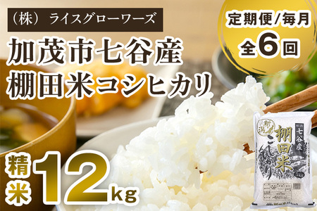 【令和7年産】【定期便6ヶ月毎月お届け】七谷産 棚田米コシヒカリ 精米12kg（5kg×2＋2kg×1）《順次出荷》 白米 （株）ライスグローワーズ
