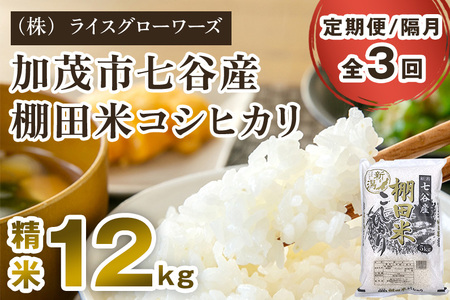 【令和7年産】【定期便3回隔月お届け】七谷産 棚田米コシヒカリ 精米12kg（5kg×2＋2kg×1）《順次出荷》 白米 （株）ライスグローワーズ