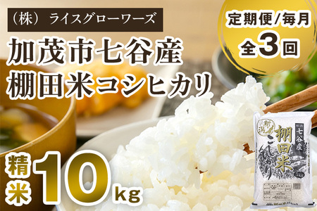 【令和7年産】【定期便3回毎月お届け】七谷産 棚田米コシヒカリ 精米10kg（5kg×2）《順次出荷》 白米 （株）ライスグローワーズ
